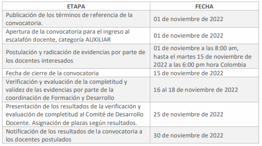 Plan carrera institucional