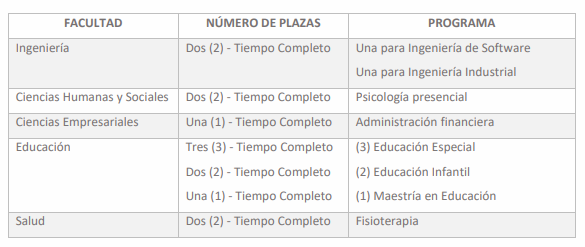 Plan carrera institucional