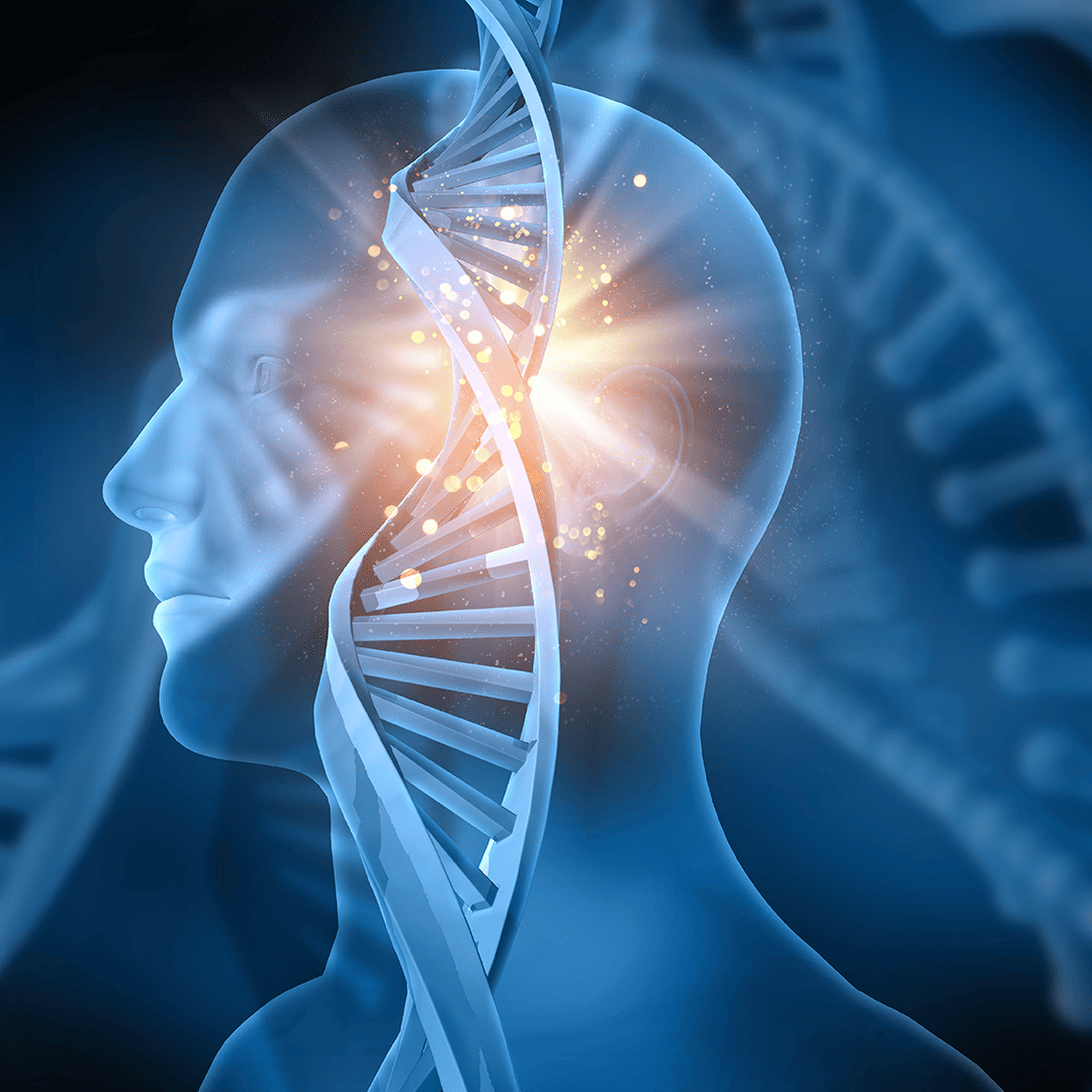 humanas posgrado.png