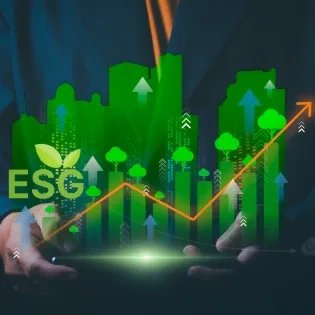 economía sostenible.png