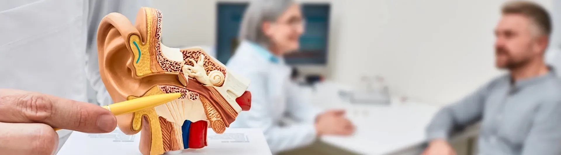 Modelo anatómico del oído humano, con un médico especialista en audiología explicando su estructura o un diagnóstico.