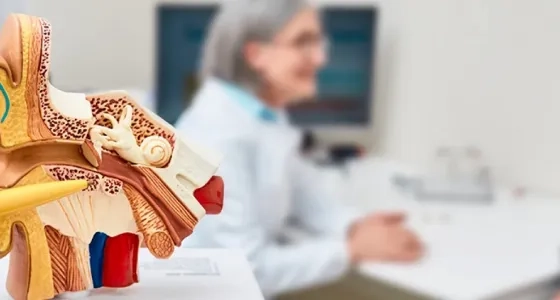 Modelo anatómico del oído humano, con un médico especialista en audiología explicando su estructura o un diagnóstico.